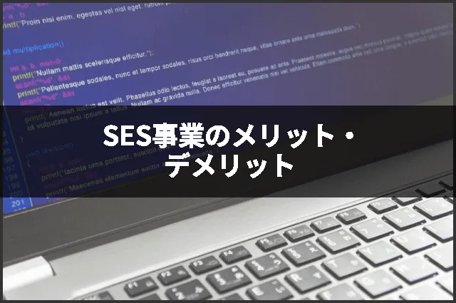 SES事業のメリット・デメリット