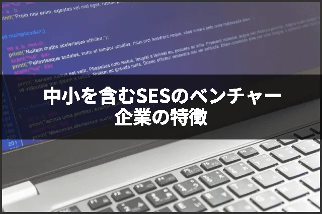 中小を含むSESのベンチャー企業の特徴