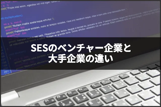 SESのベンチャー企業と大手企業の違い